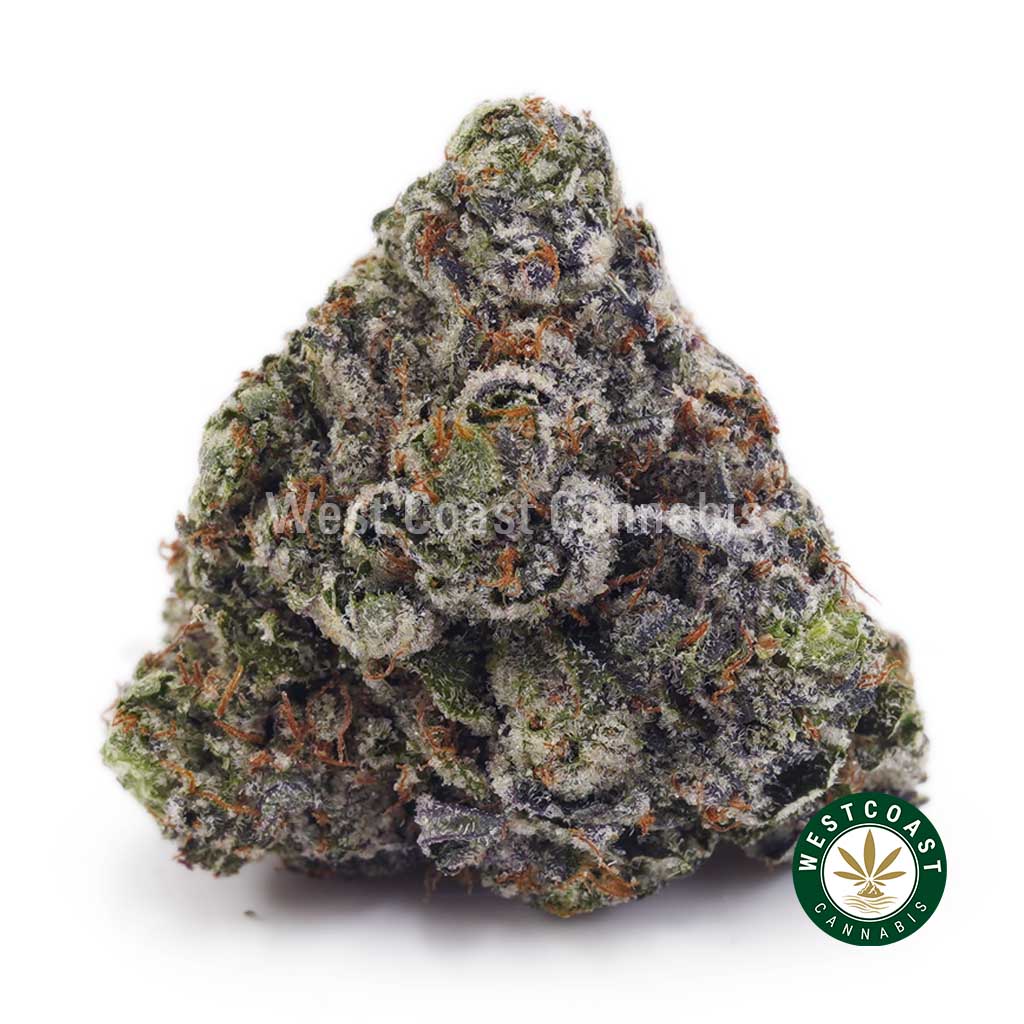 Buy Island Pink Kush AAAA+ wc cannabis weed dispensary & online pot shop Island Pink Kush AAAA+ product image