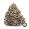Buy Jack Herer AAA wc cannabis weed dispensary & online pot shop