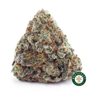 Buy Jack Herer AAA wc cannabis weed dispensary & online pot shop