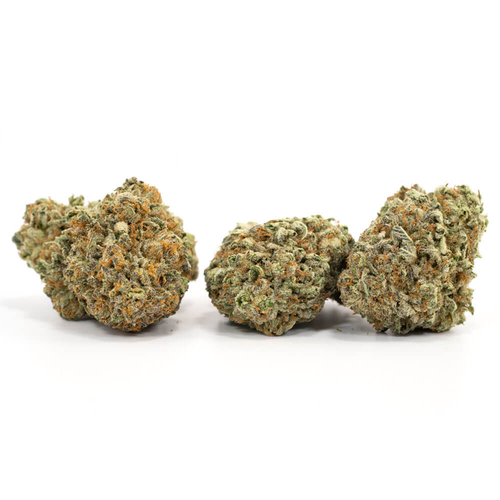Jedi-Kush-3