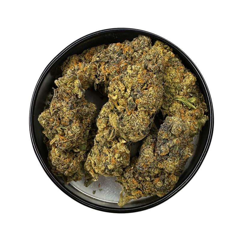 KAMIKAZI-BACIO-GELATO-13.JPG-3998-2