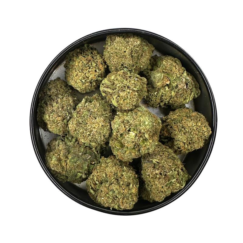 KAMIKAZI-BC-KUSH-123.JPG-3999-2