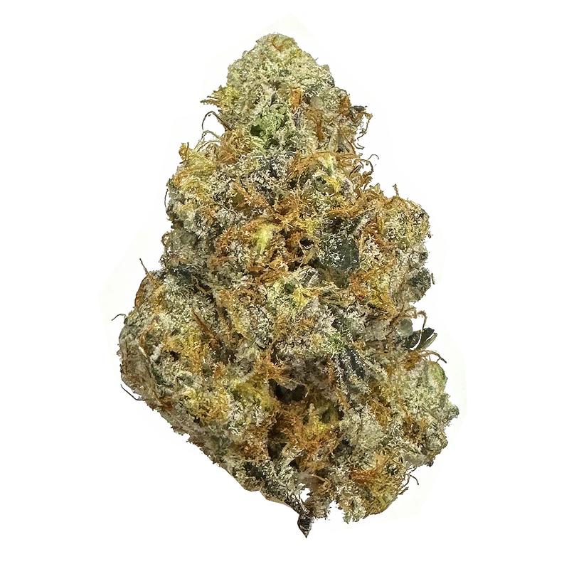 KAMIKAZI-GARLIC-BREATH-12.JPG-581-2