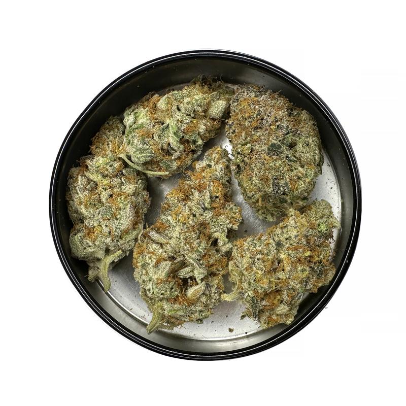 KAMIKAZI-GARLIC-BREATH-14.JPG-4351-2