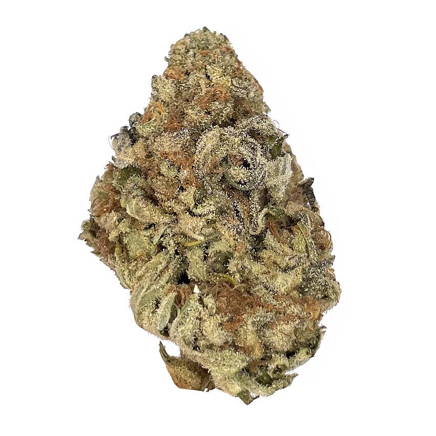 KAMIKAZI-GELATO-45-2.JPG-381-2