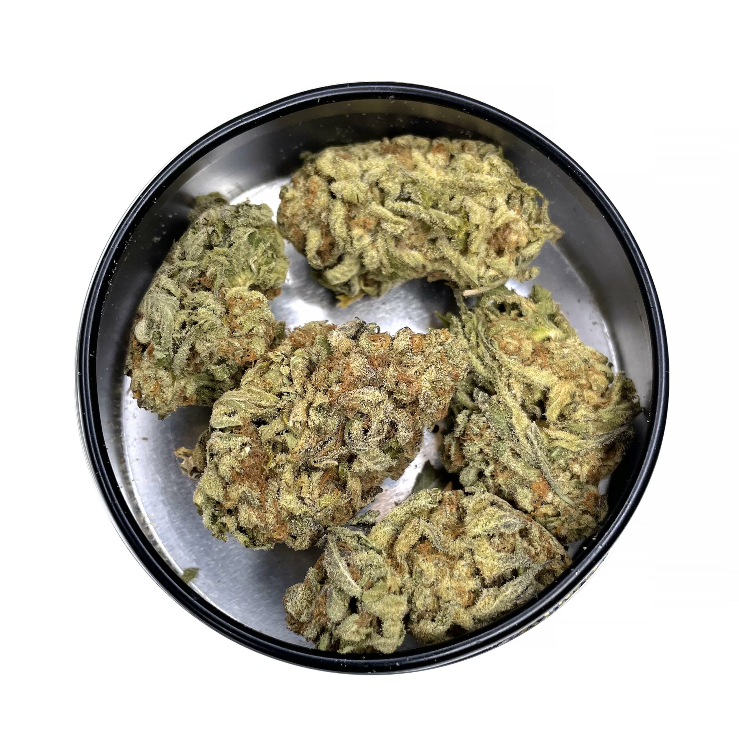 KAMIKAZI-GELATO-45-23.JPG-3925-2-scaled-2
