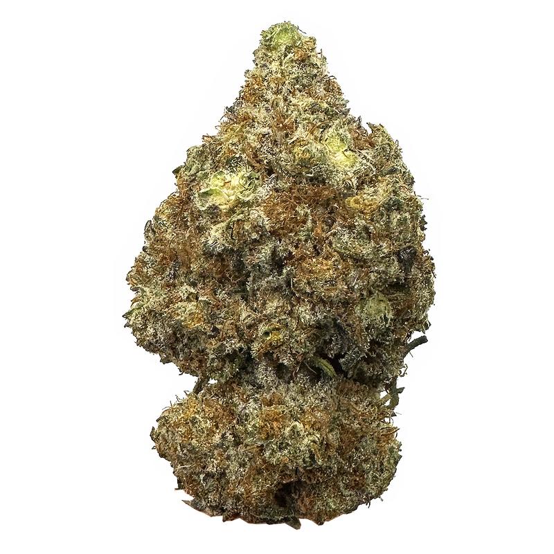 KAMIKAZI-GHOST-OG-1.JPG-622-2