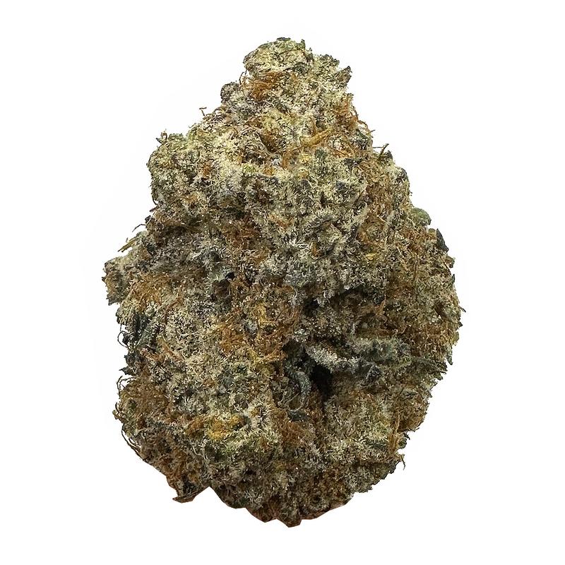 KAMIKAZI-GHOST-OG-13.JPG-526-2