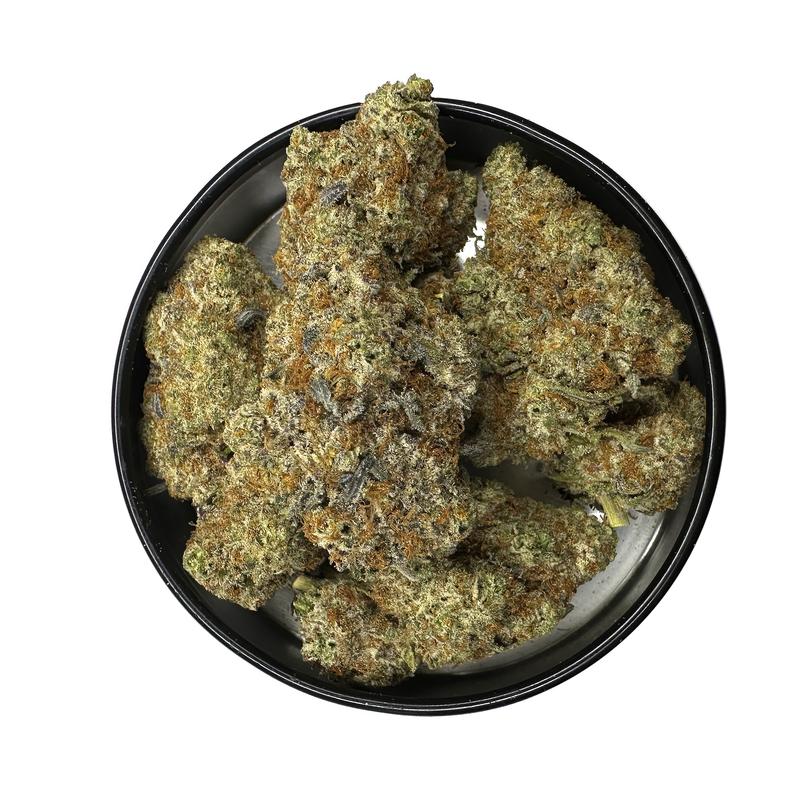 KAMIKAZI-GHOST-OG-14.JPG-4296-2