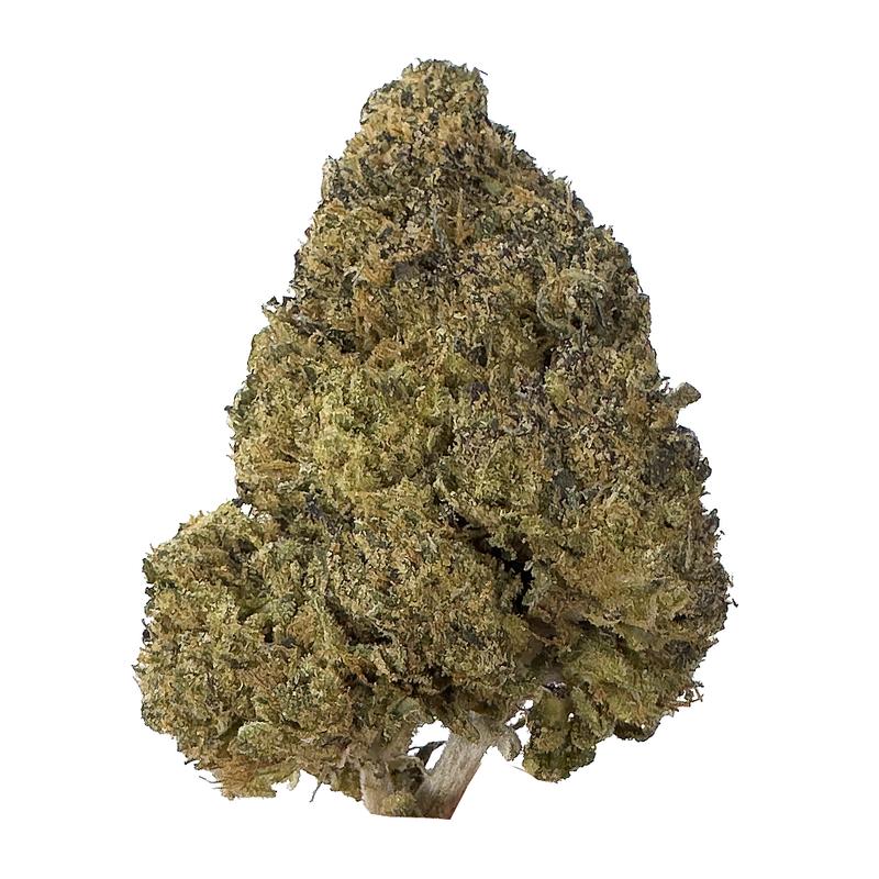 KAMIKAZI-GREASY-PINK-BUBBA-1.JPG-650-2-7