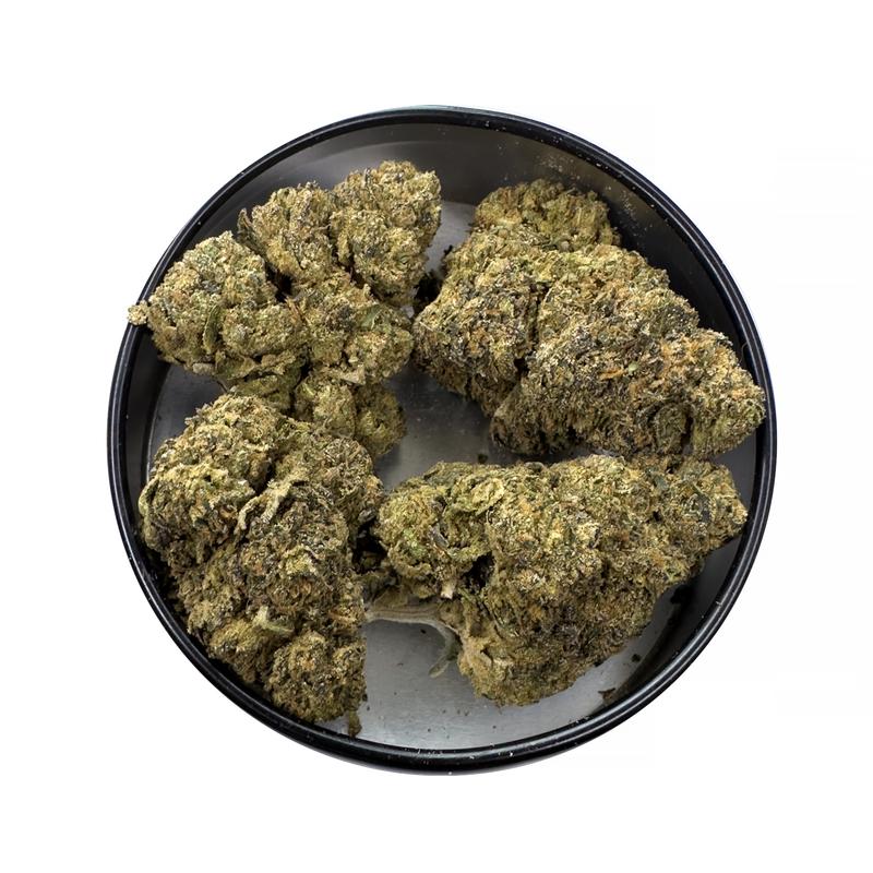 KAMIKAZI-GREASY-PINK-BUBBA-13.JPG-3247-2-1