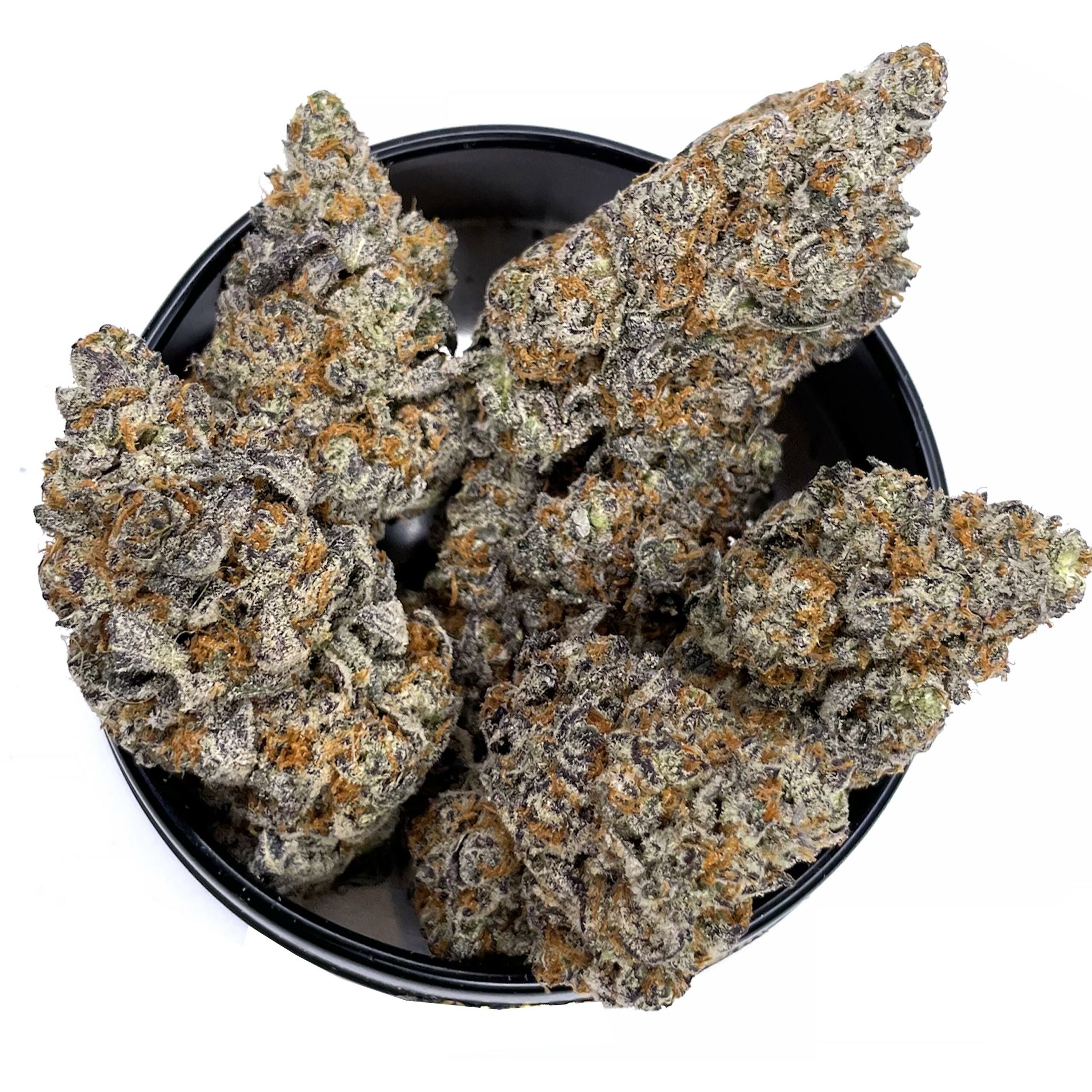 KAMIKAZI-JET-FUEL-GELATO-333.JPG-4573-2-scaled-2