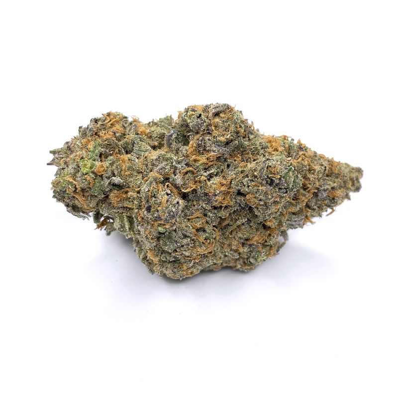 KAMIKAZI-LEMON-SKUNK-1.JPG-1853-2