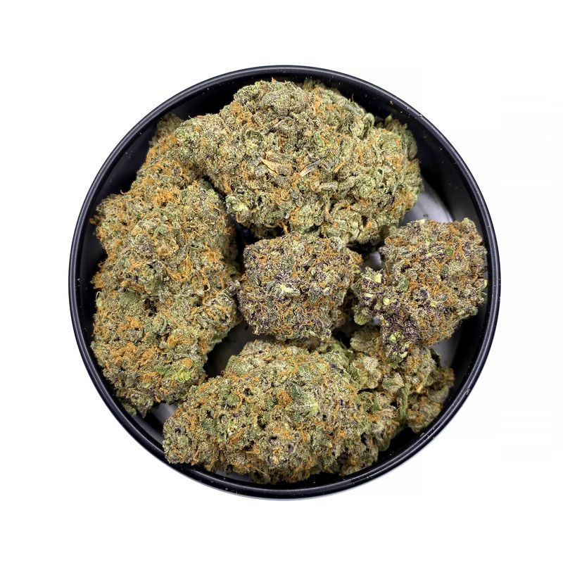 KAMIKAZI-LEMON-SKUNK-2.JPG-5236-2