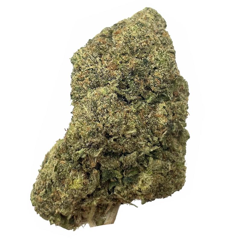 KAMIKAZI-PINK-BUBBA-12.JPG-543-2