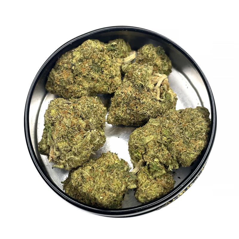 KAMIKAZI-PINK-BUBBA-13.JPG-3944-2