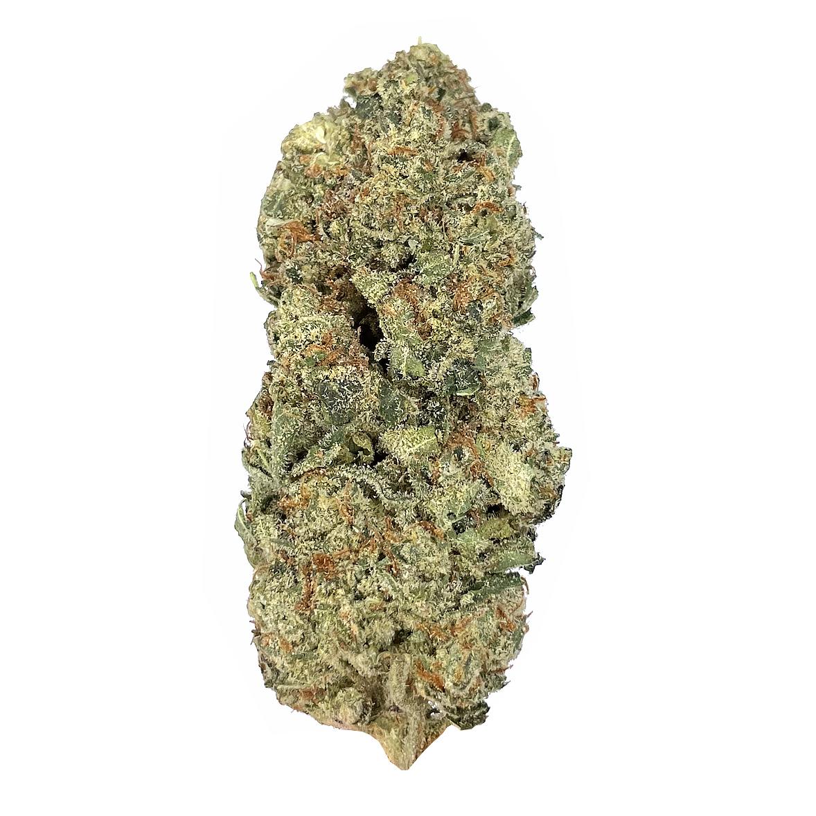 KAMIKAZI-PINK-GAS-2.JPG-604-2