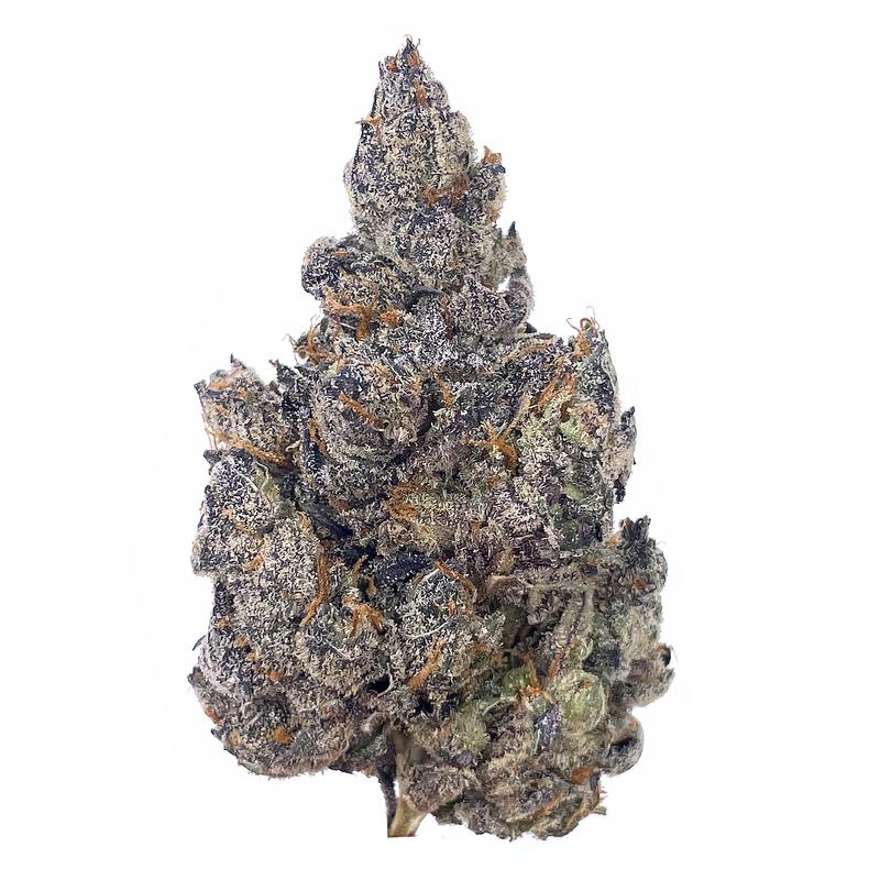 KAMIKAZI-PINK-SHERBET-1.JPG-549-2