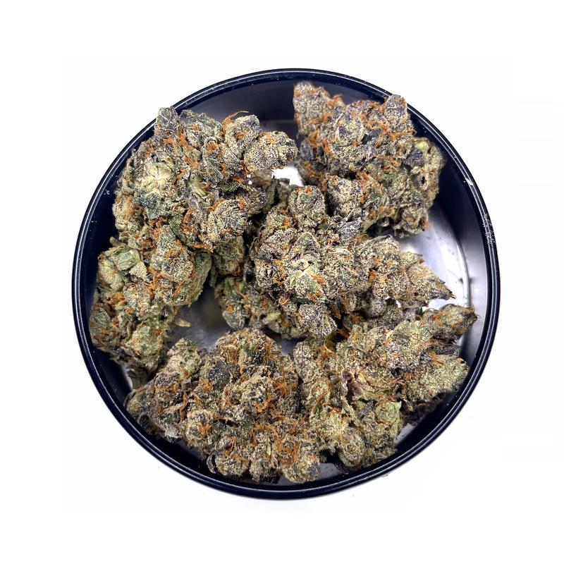 KAMIKAZI-PINK-SHERBET-STRAIN.JPG-4595-2