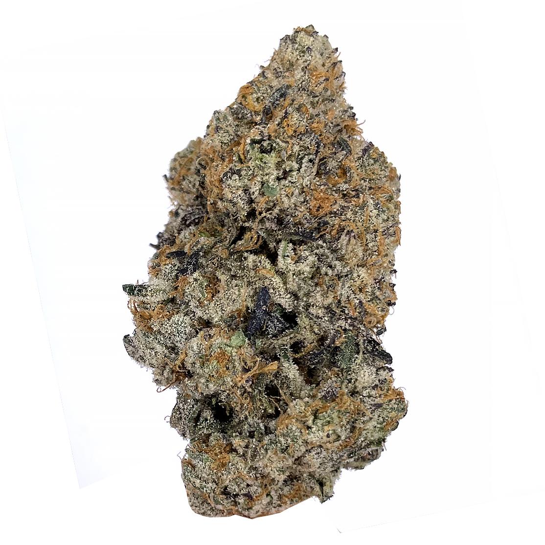 KAMIKAZI-PLATINUM-PUNCH-2.JPG-662-2