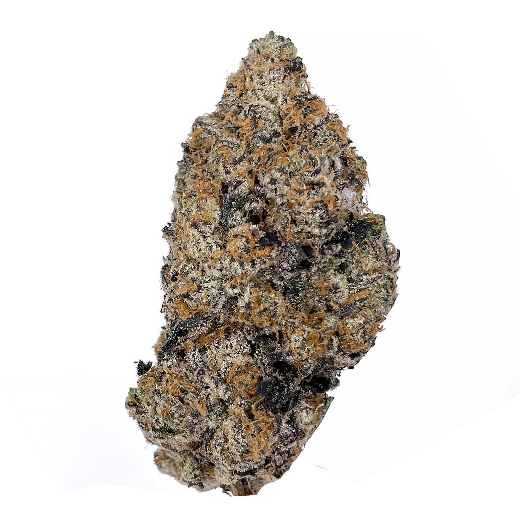 KAMIKAZI-PLATINUM-PUNCH-3.JPG-533-2