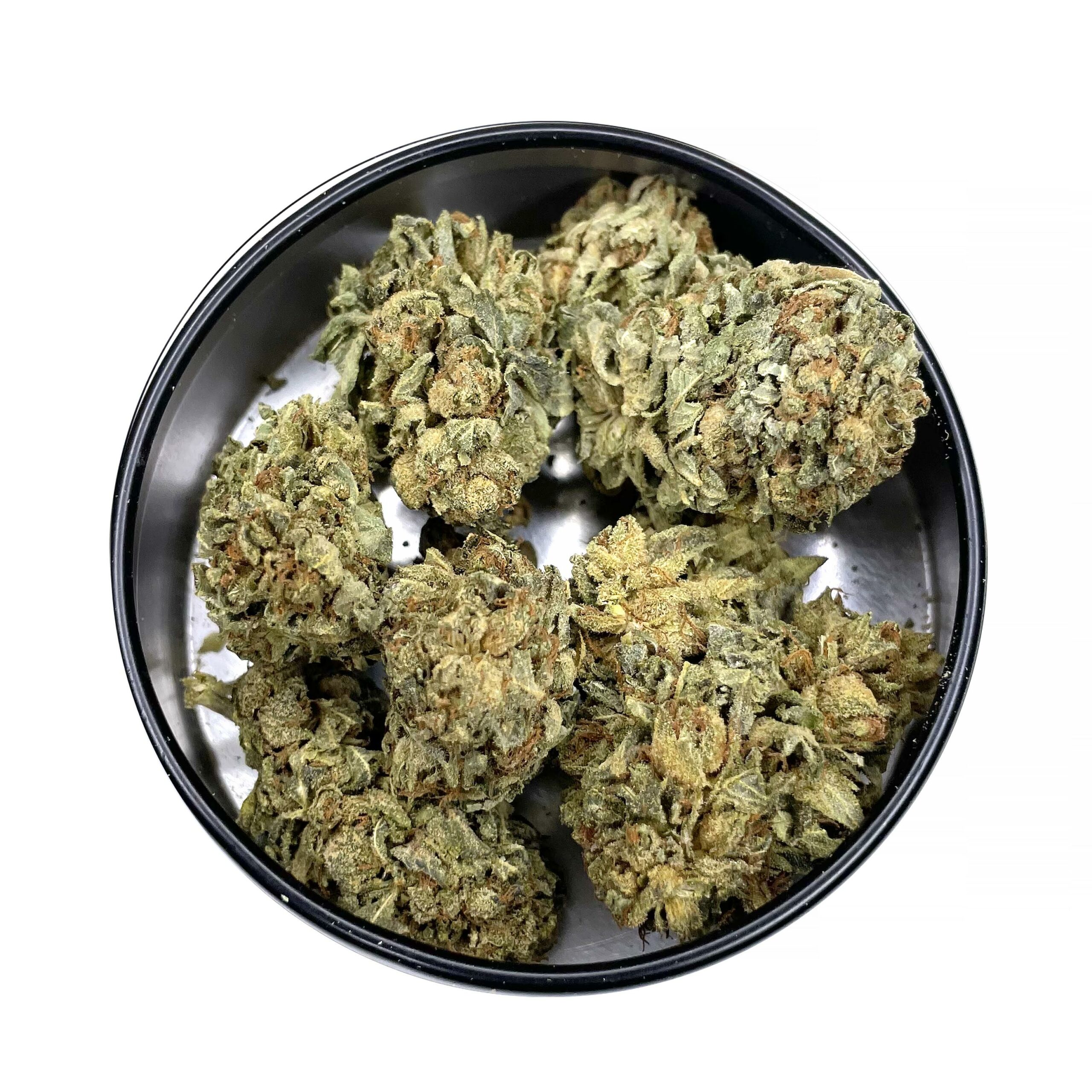 KAMIKAZI-PURPLE-KUSH-5.JPG-4762-2-scaled-2