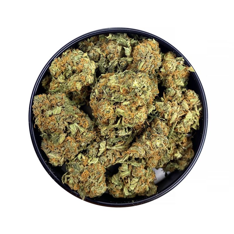 KAMIKAZI-ROYAL-CHEMDAWG-3.JPG-6039-2