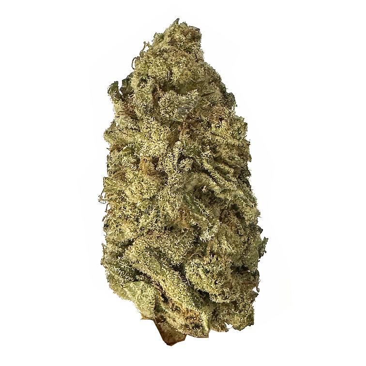 KAMIKAZI-SUGAR-SHACK-2.JPG-305-2