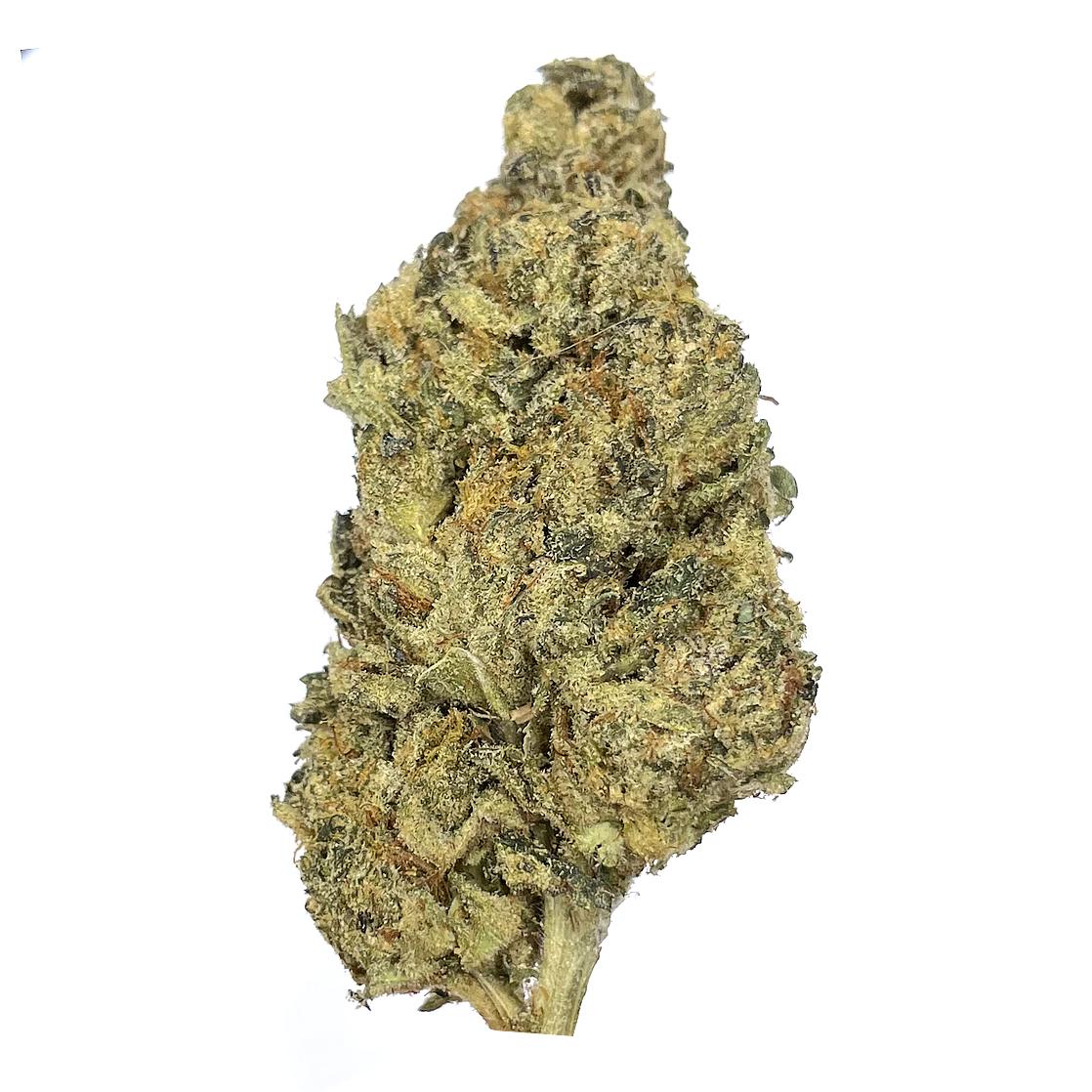 KAMIKAZI-THIN-MINT-GIRL-SCOUT-COOKIES-2.JPG-561-2