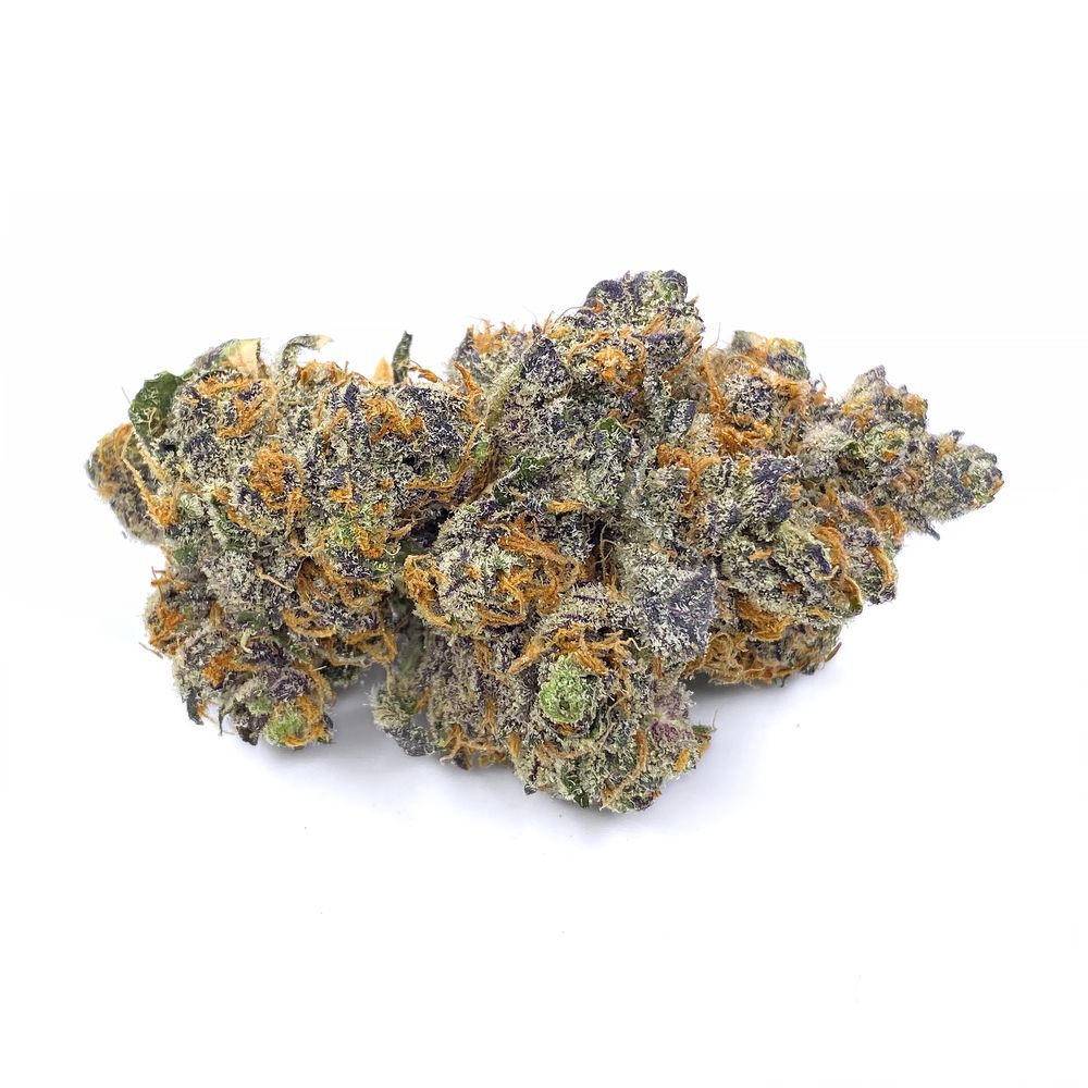 KAMIKAZI-TRUNK-FUNK-1.JPG-2781-2