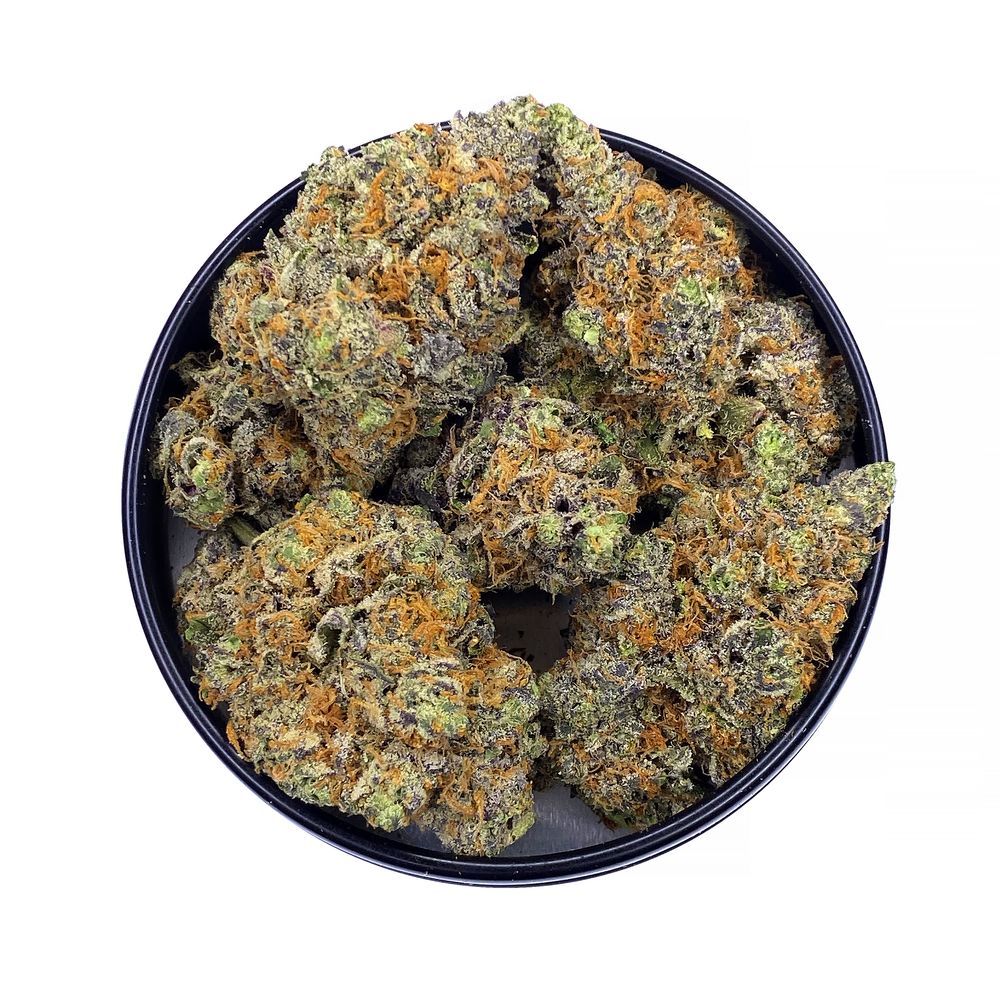 KAMIKAZI-TRUNK-FUNK-3.JPG-6652-2