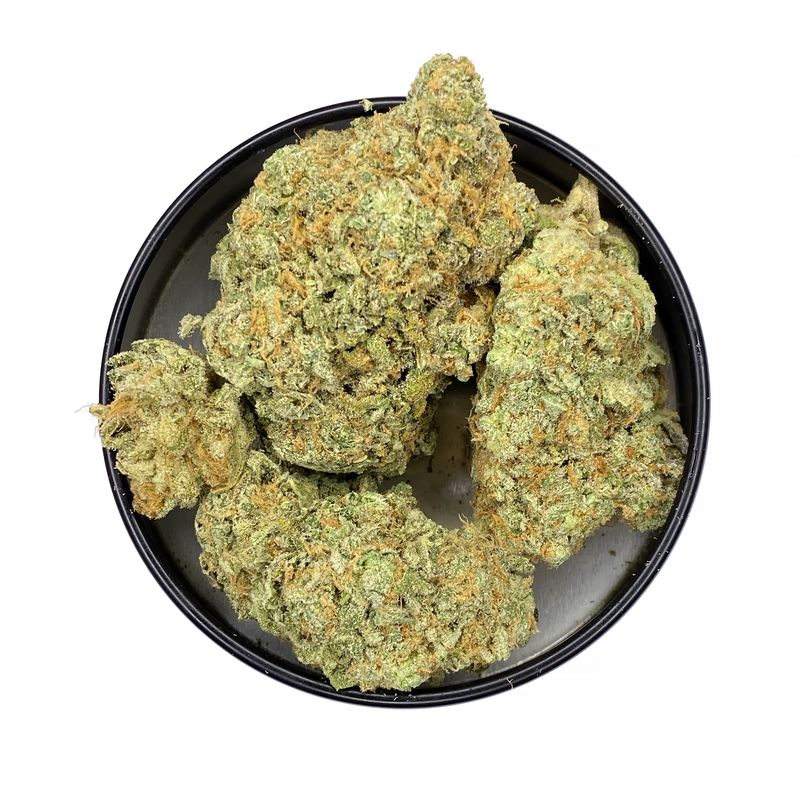 KAMIKAZI-ZOMBIE-OG-2.JPG-4307-2