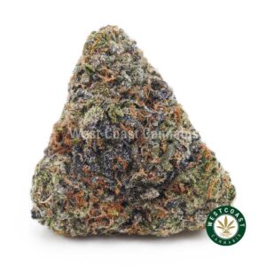 King Kong AAAA product image