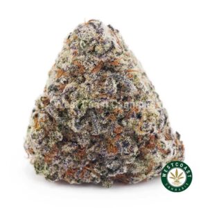 King Louis XIII AA product image
