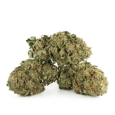 King-Louis-XIII-Strain-Multi-Shot-400x400-4-1