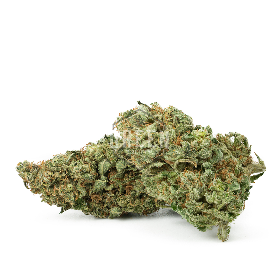 Lemon-Thai-Strain-2