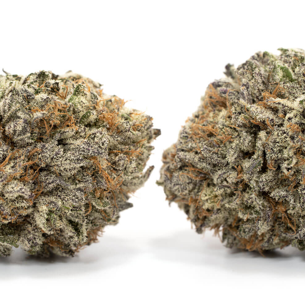 Mendocino-Purps-2
