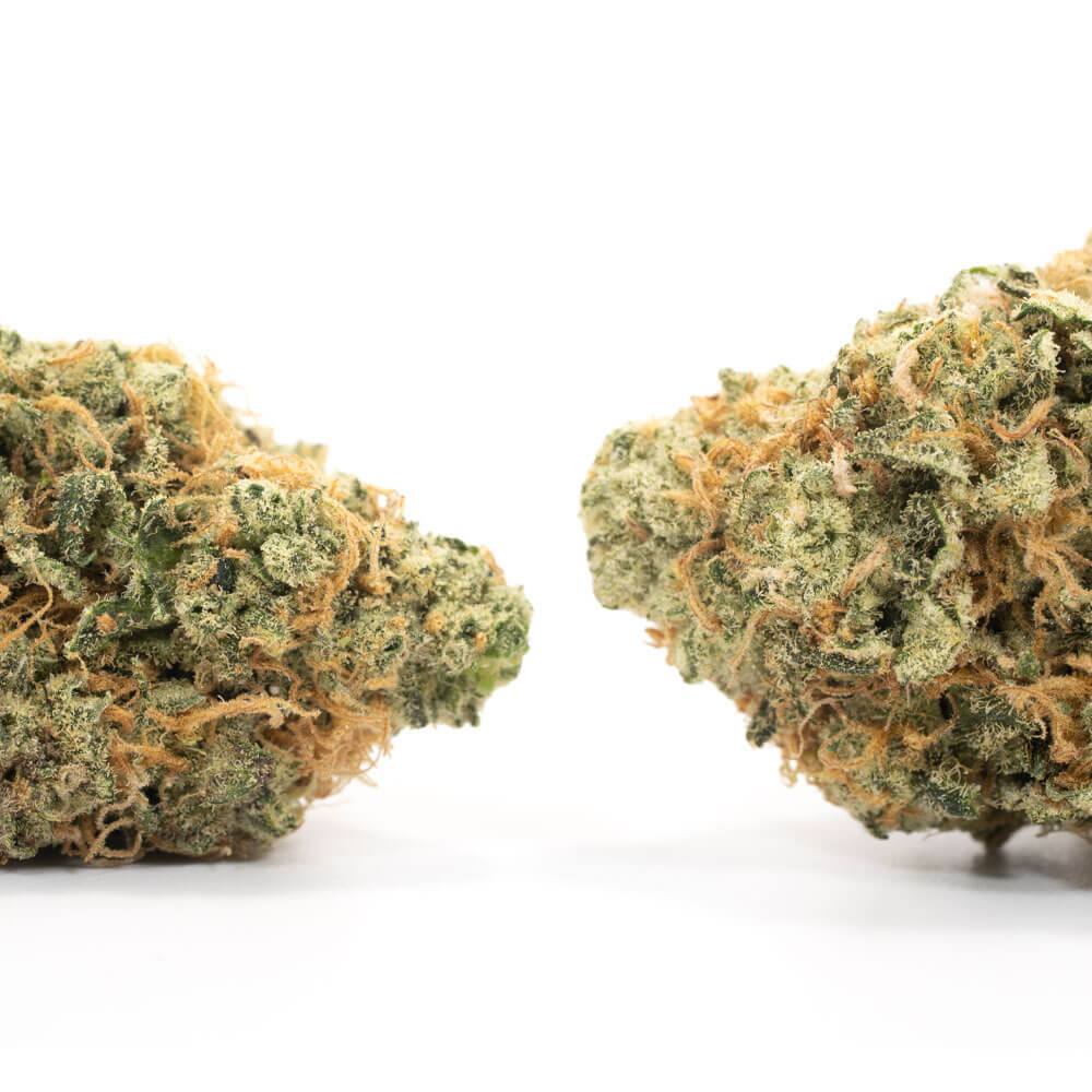 Orange-Cookies-2-2