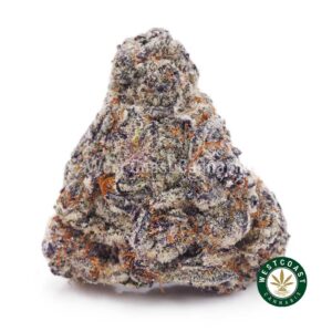 Orange Push Pop AAAA+ product image