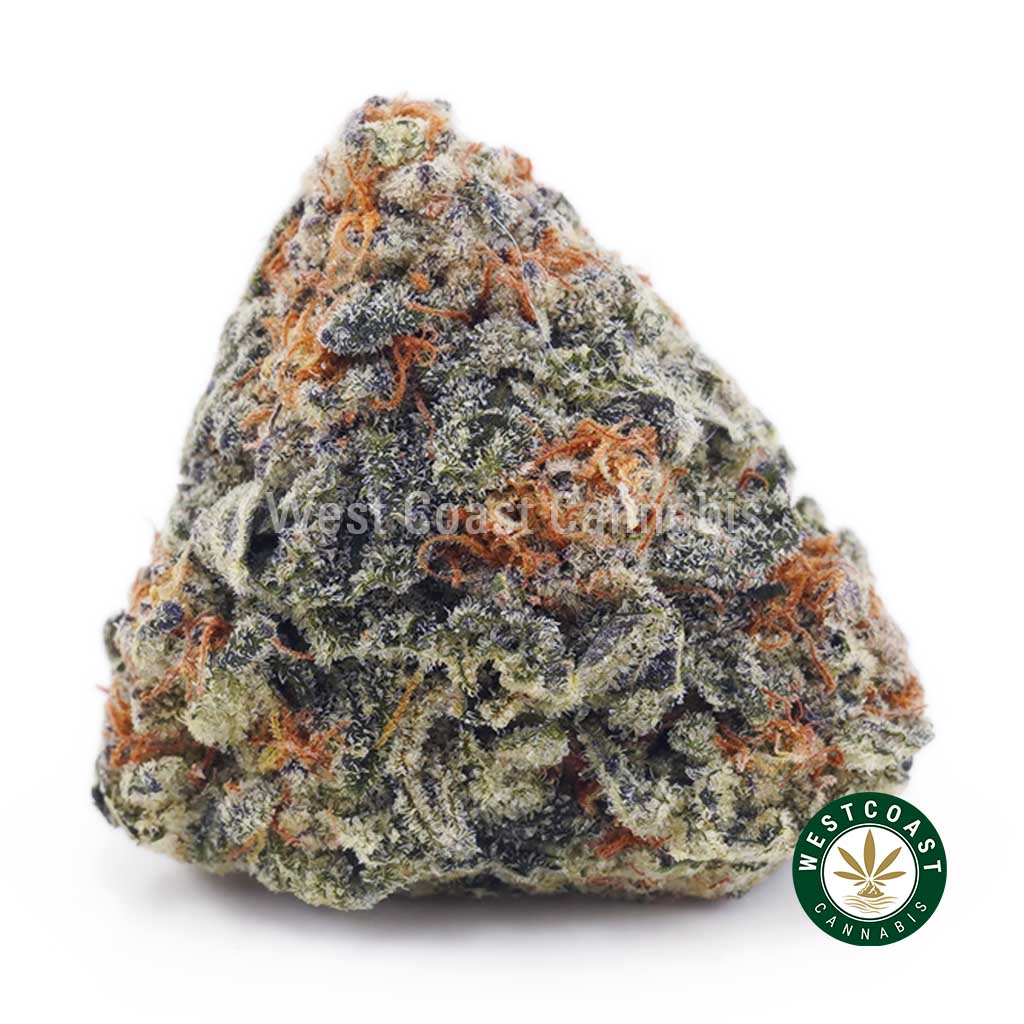 Peaches & Cream AA 1 Peaches & Cream AA 1