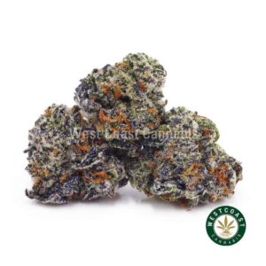 Permanent Marker AAAA (Popcorn Nugs) product image