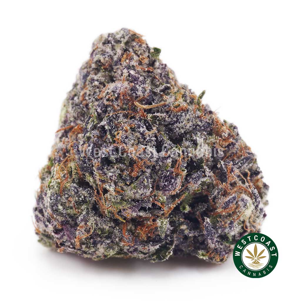 Buy Pink Gas Mask AAAA+ wc cannabis weed dispensary & online pot shop Buy Pink Gas Mask AAAA+ wc cannabis weed dispensary & online pot shop