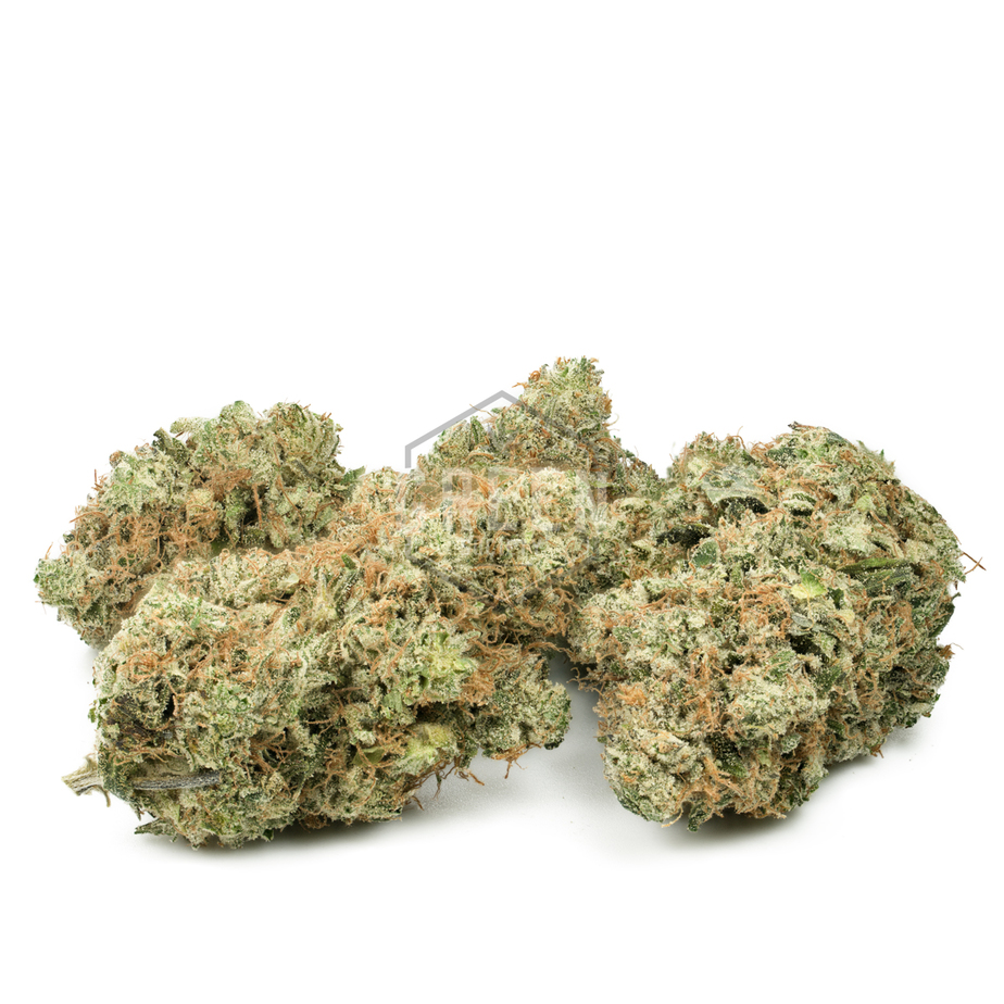 Platinum-Cookies-by-Pluto-Craft-Cannabis-Buds