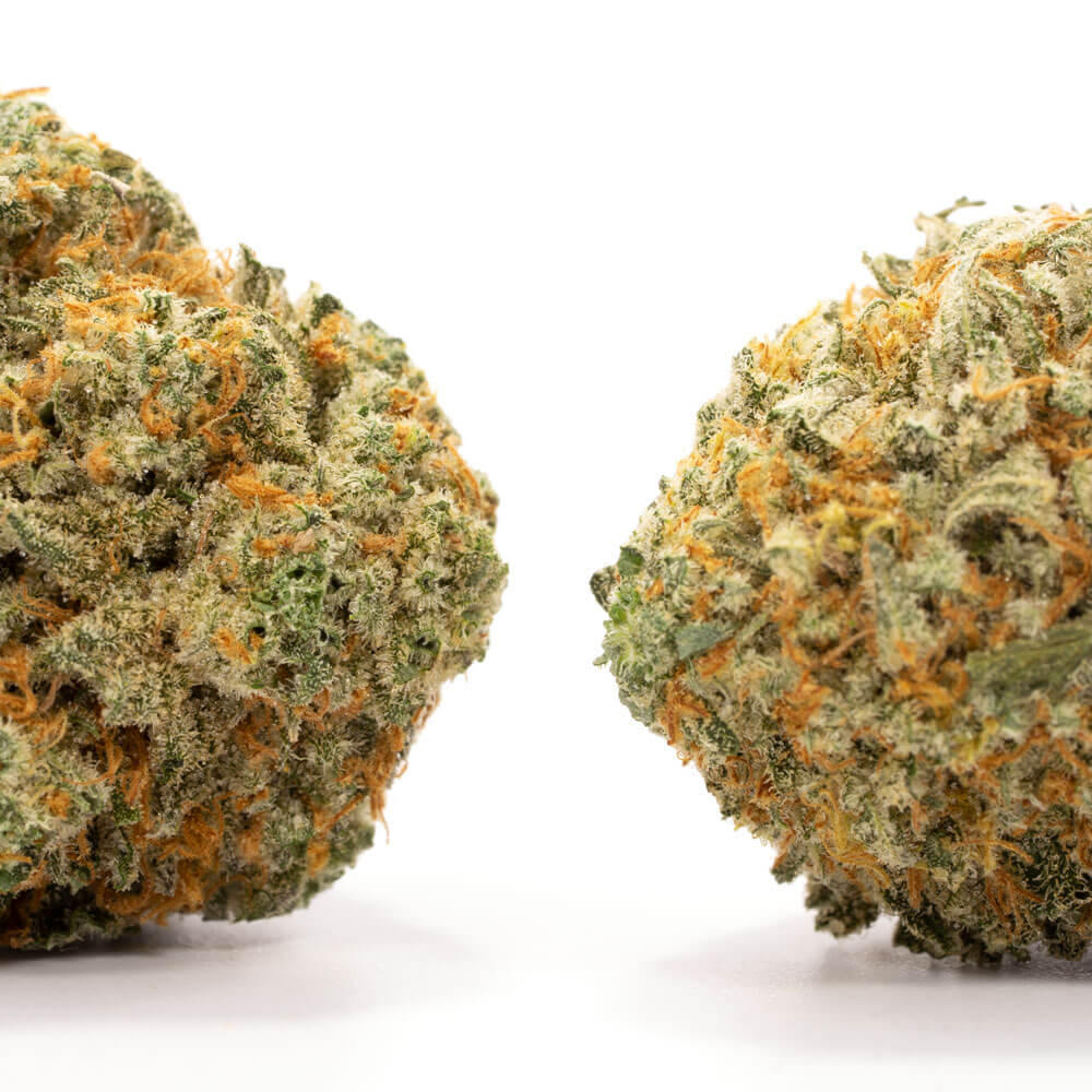 Platinum-OG-2