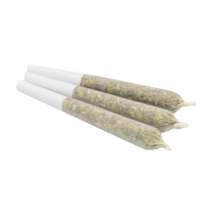 Gas Dank Pre Roll Pack