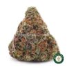 Buy Pumpkin Spice AA wc cannabis weed dispensary & online pot shop