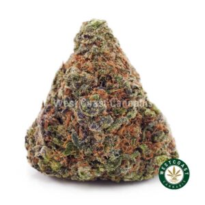 Pumpkin Spice AA product image