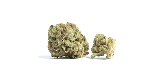 Purchase High Octane strain