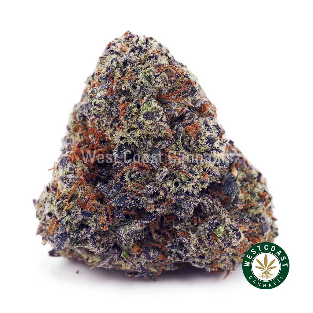 Buy Purple Freeze AAAA wc cannabis weed dispensary & online pot shop Purple Freeze AAAA product image
