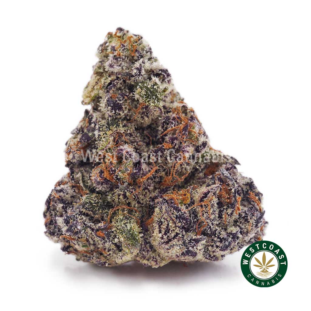 Buy Purple Ghost AAAA wc cannabis weed dispensary & online pot shop Purple Ghost AAAA product image